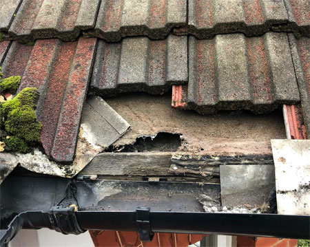 Roof repairs after storm damage
